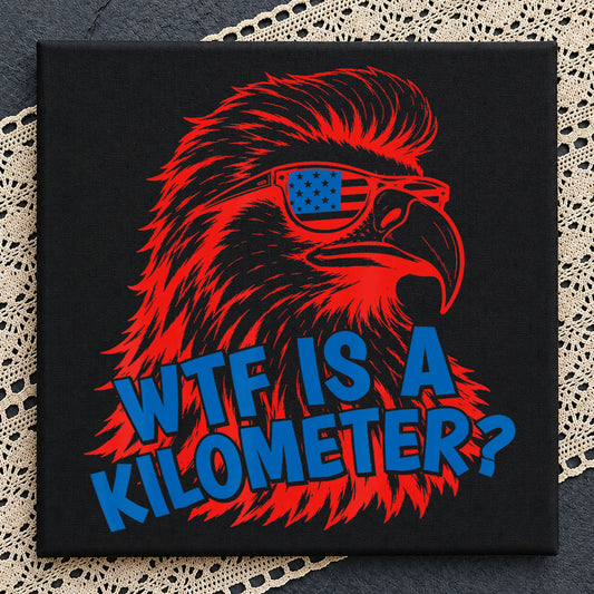 WTF Is A Kilometer Eagle PNG, 4th Of July PNG, Patriotic PNG
