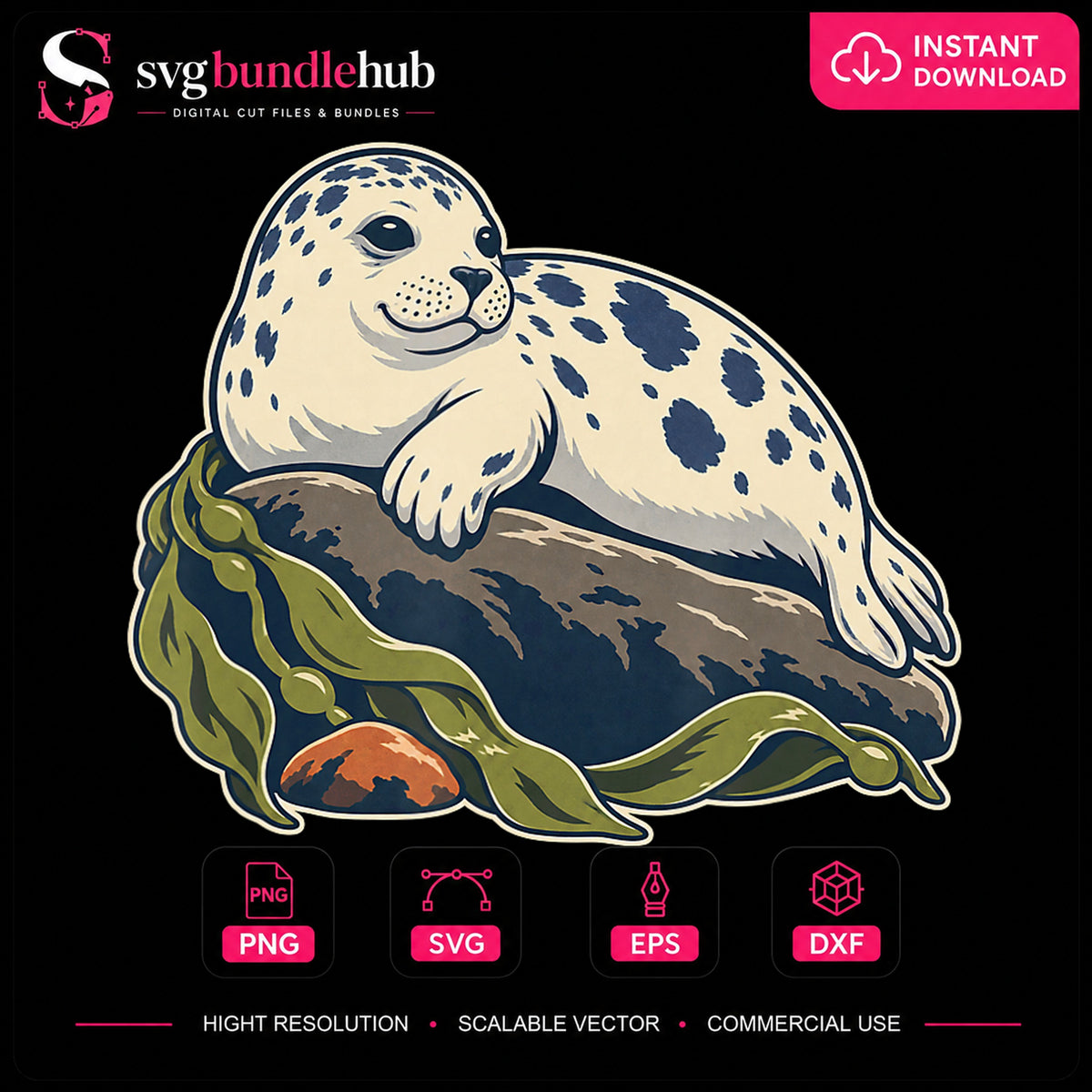 Baby Seal Resting On Rock Seaweed Ocean Animal PNG