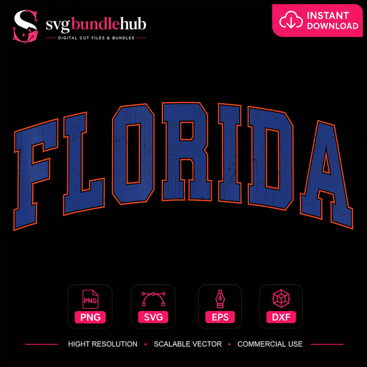 Florida Varsity Distressed Arched College Sports Text PNG