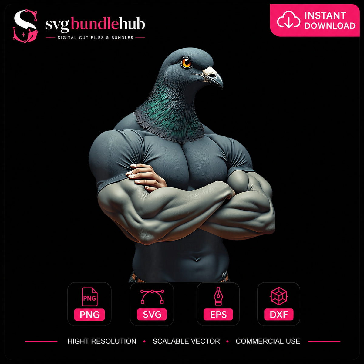 Muscular Pigeon Arms Crossed Bodybuilder Funny PNG