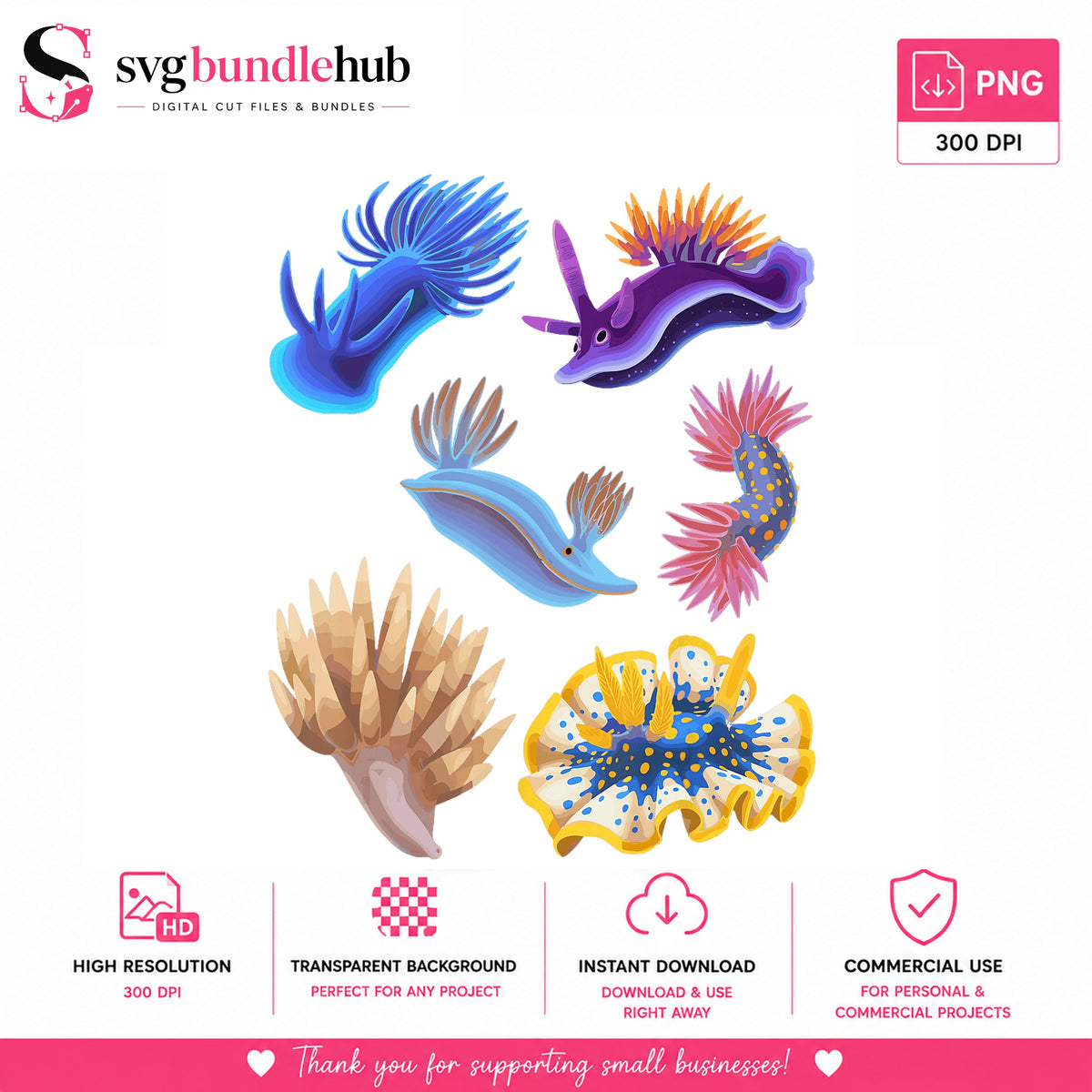 Nudibranch Clipart PNG Bundle, Sea Slug PNG, Ocean Creature PNG