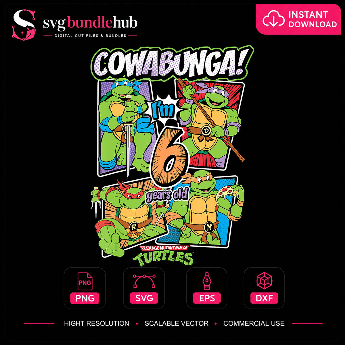 Teenage Mutant Ninja Turtles Cowabunga 6th Birthday PNG