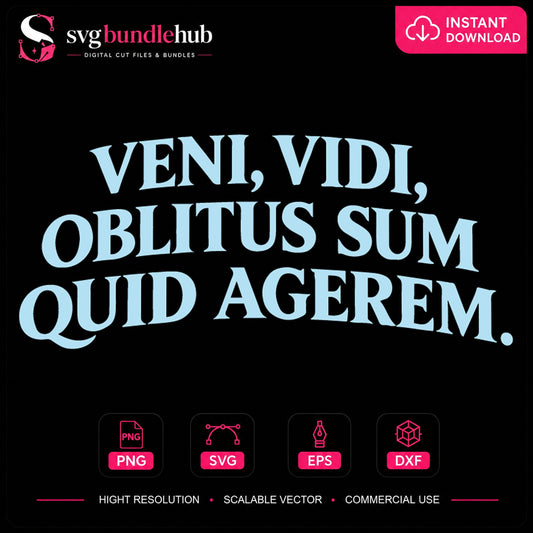 Veni Vidi Oblitus Sum Quid Agerem Latin Humor SVG