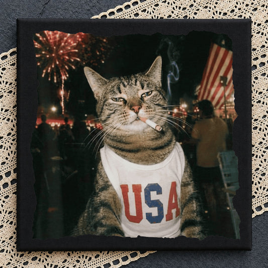 4th Of July Cat PNG, Funny USA Cat Shirt, Patriotic Cat PNG