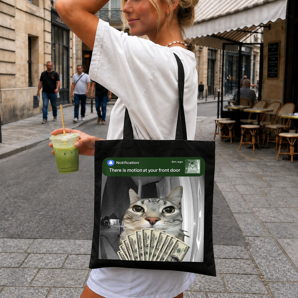 Motion At Your Front Door Cat Holding Money Meme PNG