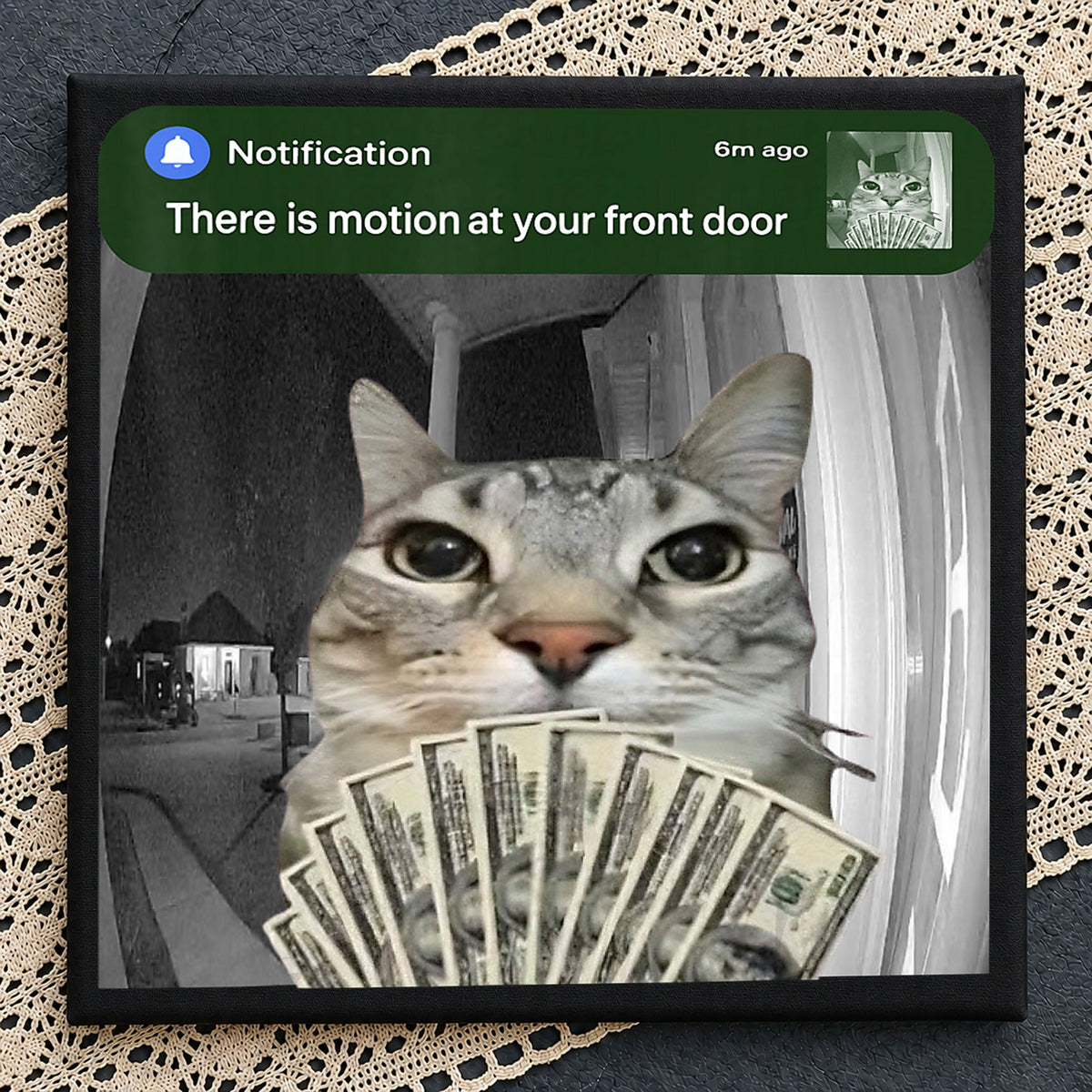 Motion At Your Front Door Cat Holding Money Meme PNG