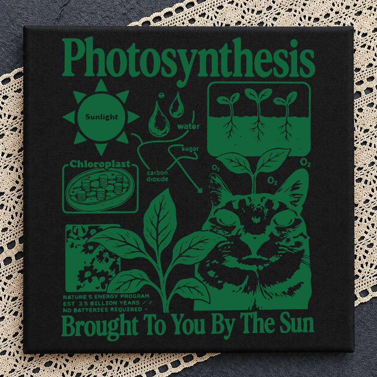 Photosynthesis SVG, Science Education Clipart Design